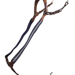Elastisch borsttuig/martingale