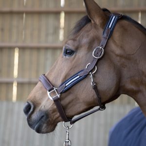 Elastisch halster 'stressless'