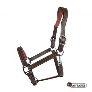 Signature leren halster